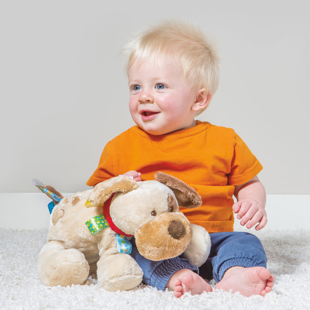 Mary Meyer - Taggies - Buddy Dog Plush 30cm