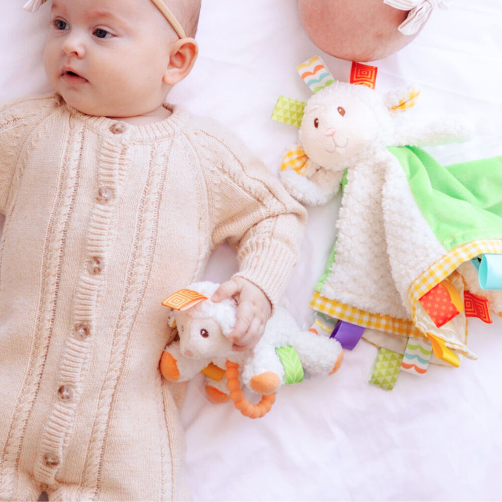 Mary Meyer - Taggies - Sherbet Lamb Teether Rattle