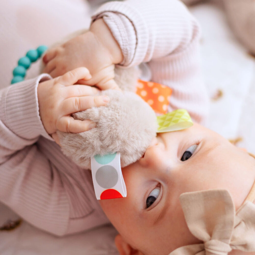 Mary Meyer - Taggies - Molasses Sloth Teether Rattle