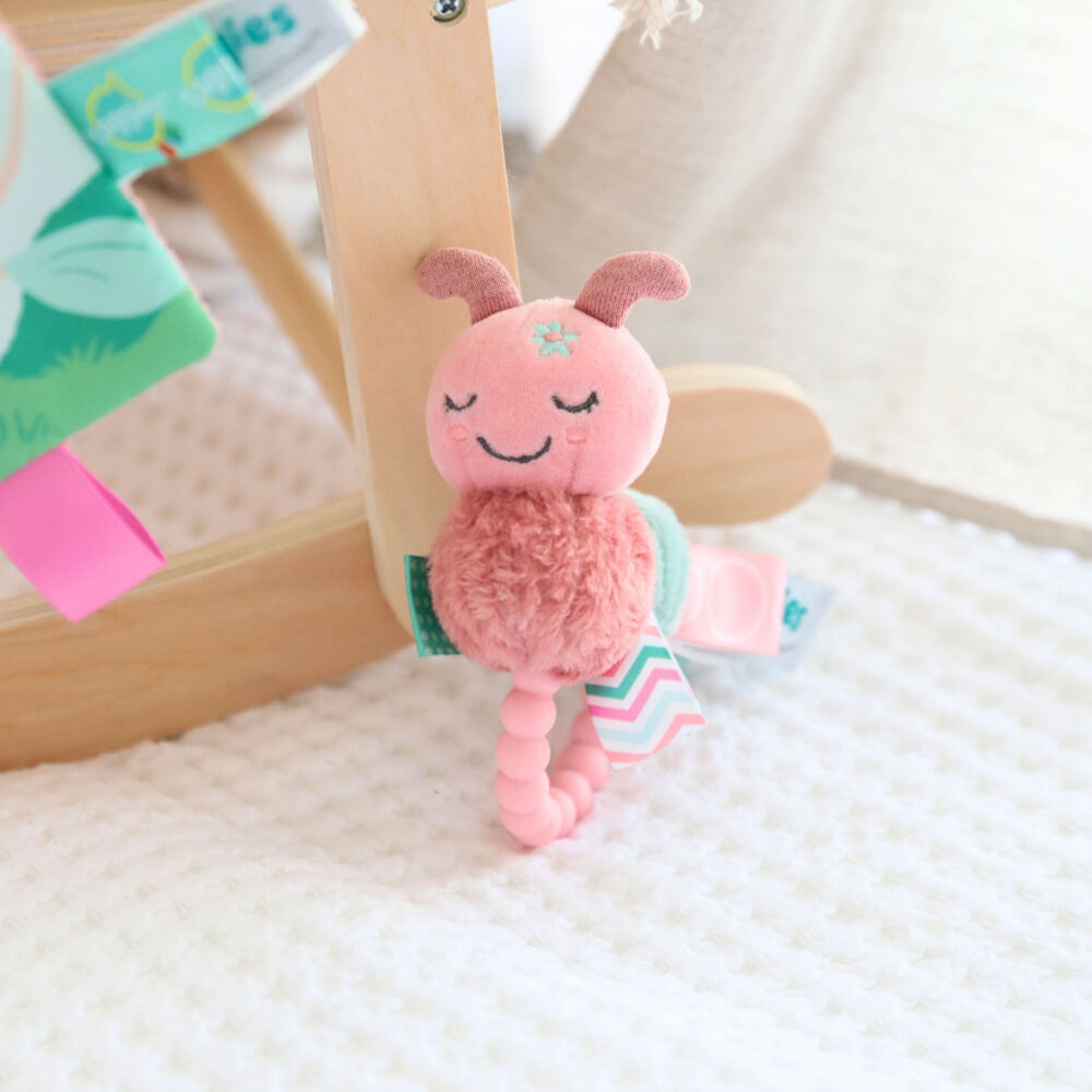 Mary Meyer - Taggies - Camilla Caterpillar Teether Rattle