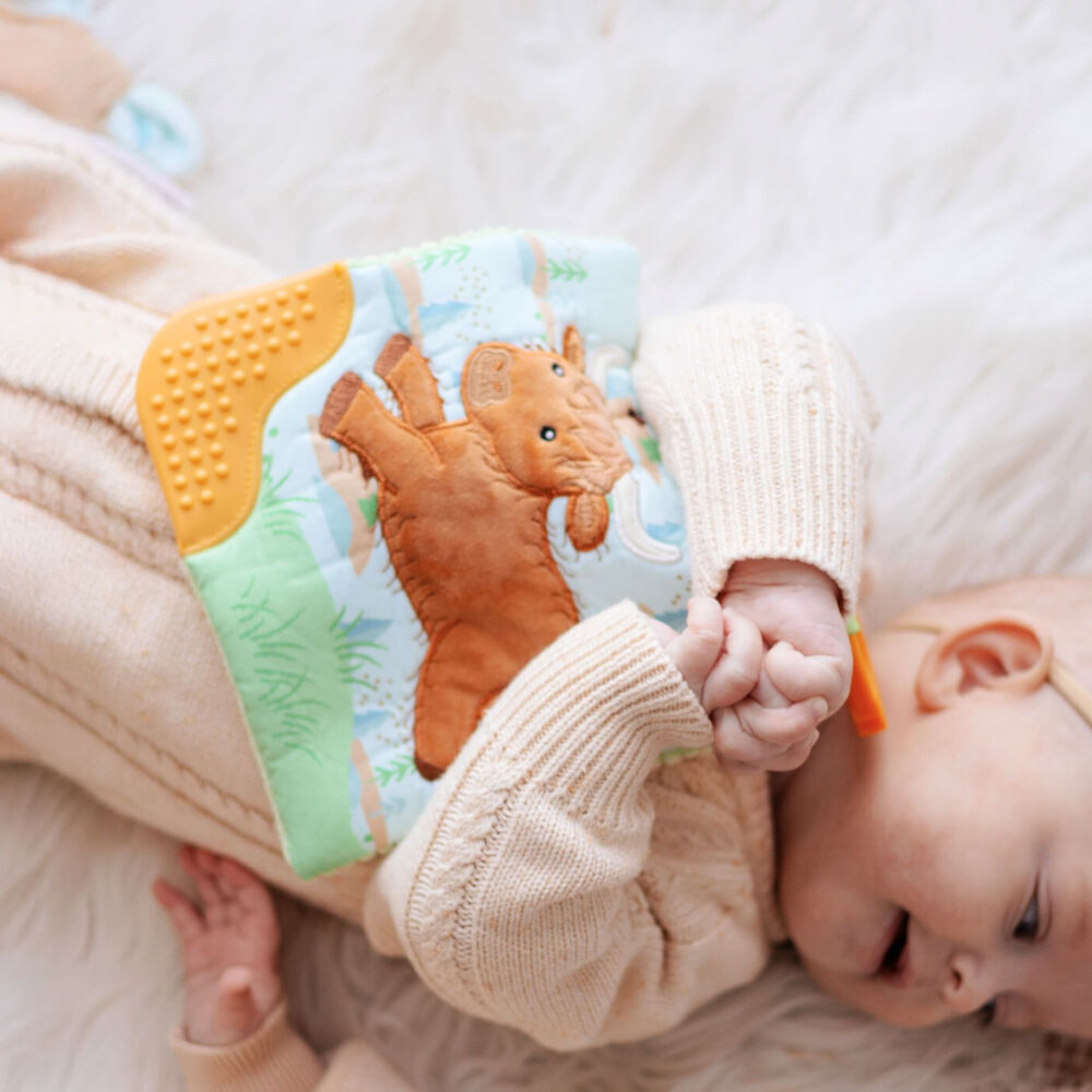 Mary Meyer - Hetty Highland Cow Crinkle Teether