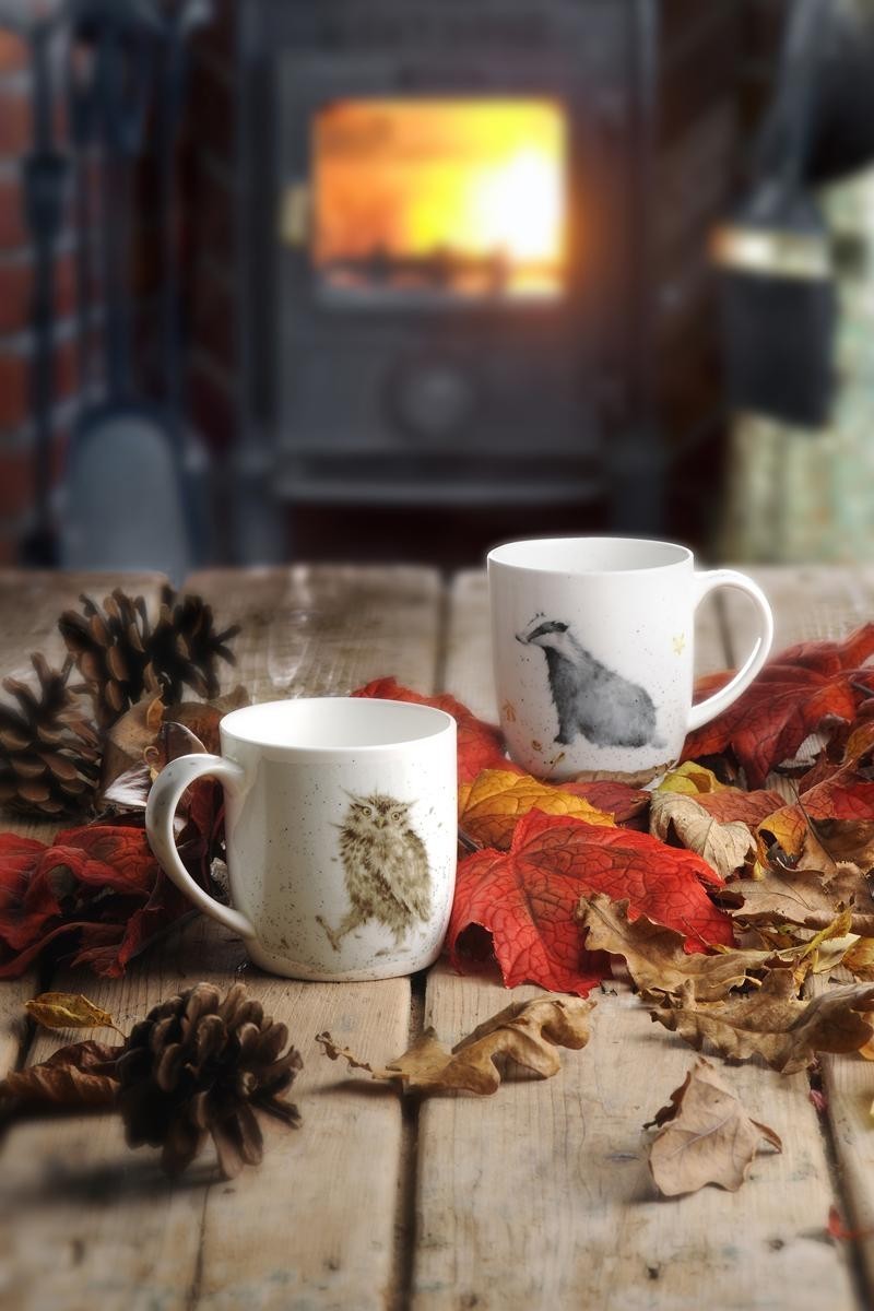 Royal Worcester Wrendale Mug - What a Hoot
