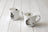 Royal Worcester Wrendale Mug - Walkies