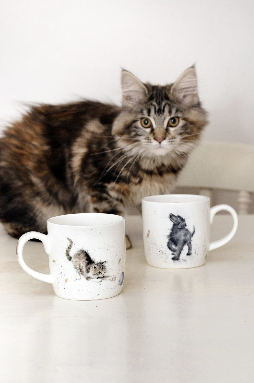 Royal Worcester Wrendale Mug - Cat & Mouse