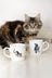 Royal Worcester Wrendale Mug - Cat & Mouse