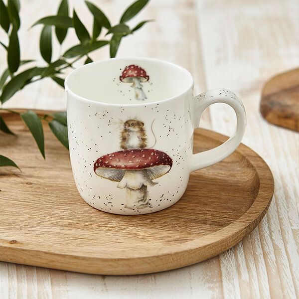 Royal Worcester Wrendale  Mug - He's A Fun-gi