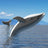 Metalmorphose Keychain - Whale