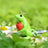 Metalmorphose Keychain - Frog Prince