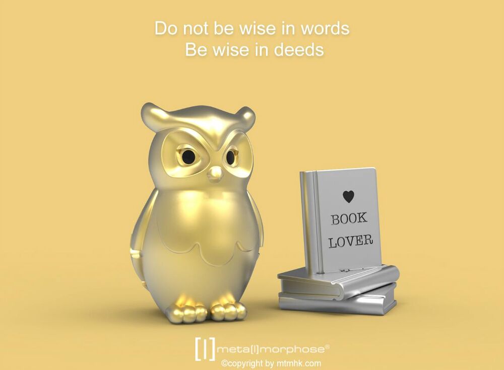 Metalmorphose Keychain - Owl & Book
