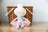 Alimrose Doll - Baby Ballerina - Lilly Blue 25cm