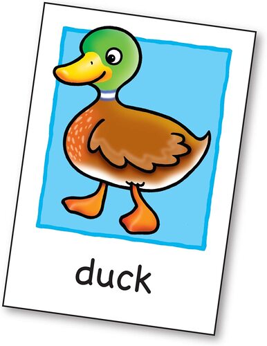Orchard Toys - Flashcards