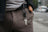 Orbitkey V2 Clip - Black