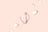 Orbitkey 2.0 Leather - Blush