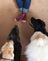 Blue Q Womens Crew Socks - Cats!