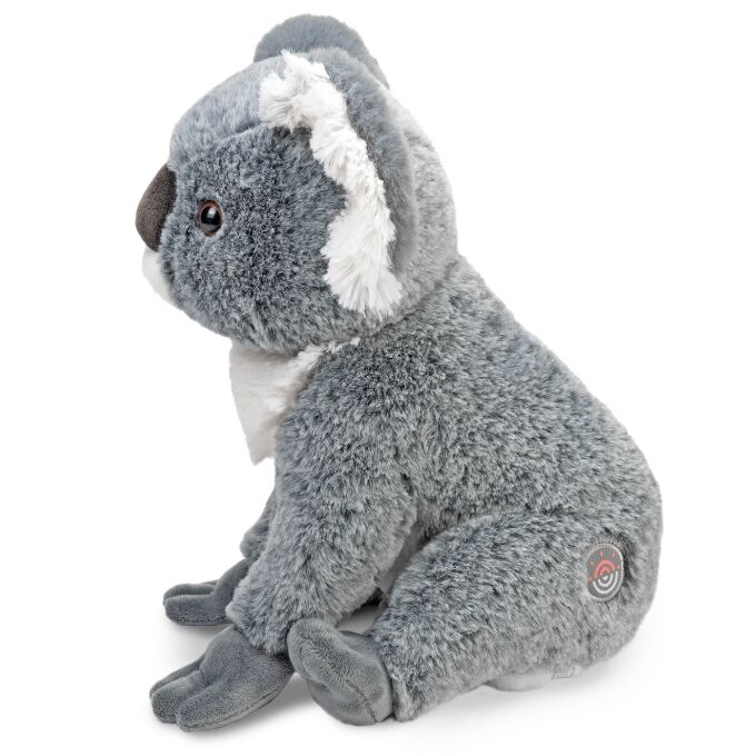 Fahlo - Lounge Koala 13inch