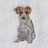 Pilbeam Living - Pawfect Face Washer