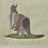 Pilbeam Living - Kangaroo Hand Towel (Set of 2)