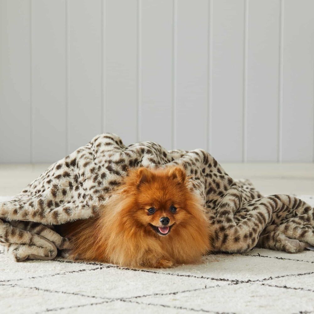 Pilbeam Living - Animal Print Faux Fur Throw Blanket