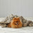 Pilbeam Living - Animal Print Faux Fur Throw Blanket