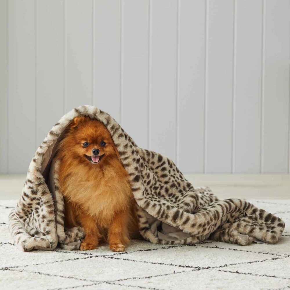 Pilbeam Living - Animal Print Faux Fur Throw Blanket