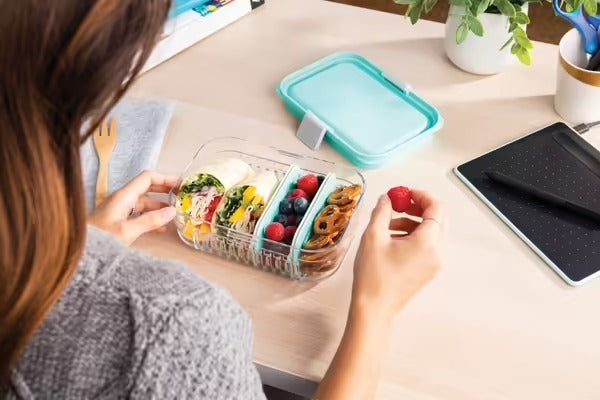 Packit Mod Lunch Bento Container - Mint