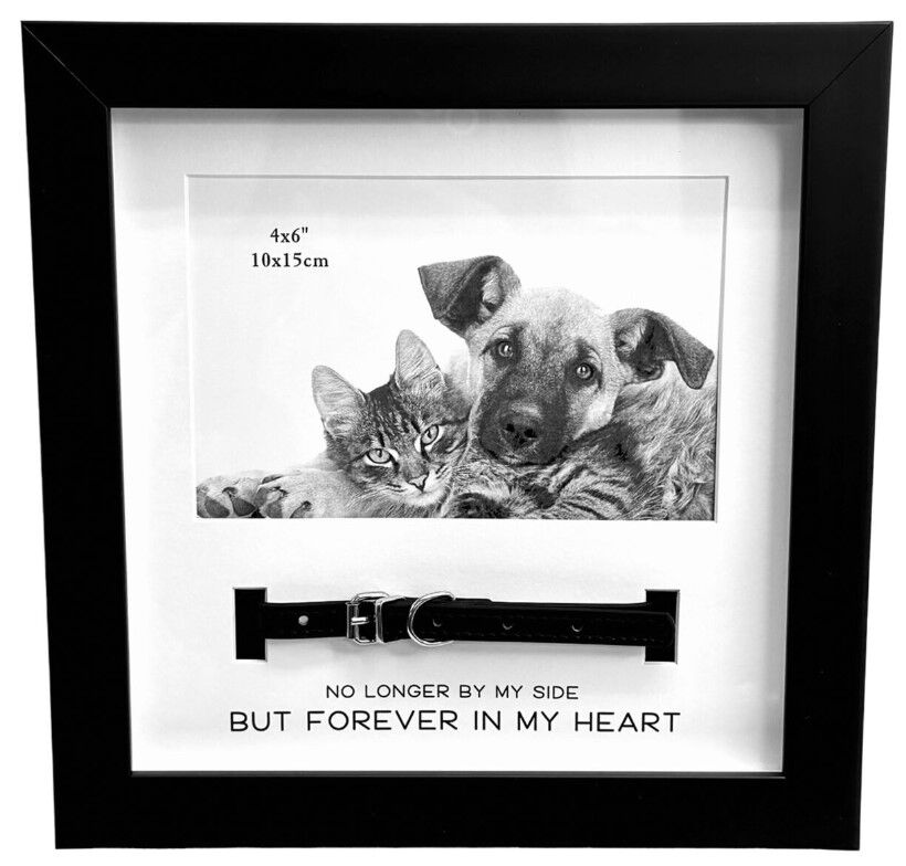 Black Pet Frame with Collar 4x6inch
