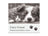 Photo Frame - Furry Friend