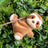 Palm Pals - Slomo Sloth