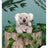 Palm Pals - Wiggles Koala