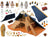 Playmobil History - Pharaoh’s Pyramid