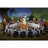 Playmobil Asterix - The Village Banquet