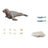 Playmobil Wiltopia - Sea Lion