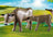 Playmobil Country - Animal Enclosure