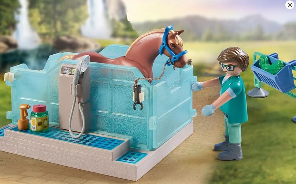 Playmobil Horses of Waterfall - Riding Therapy and Veterinary Practice
