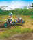 Playmobil Dinos - T-Rex Trace Path