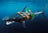 Playmobil Pirates - Giant Shark with Pirate