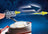 Playmobil Space - Mars Space Station