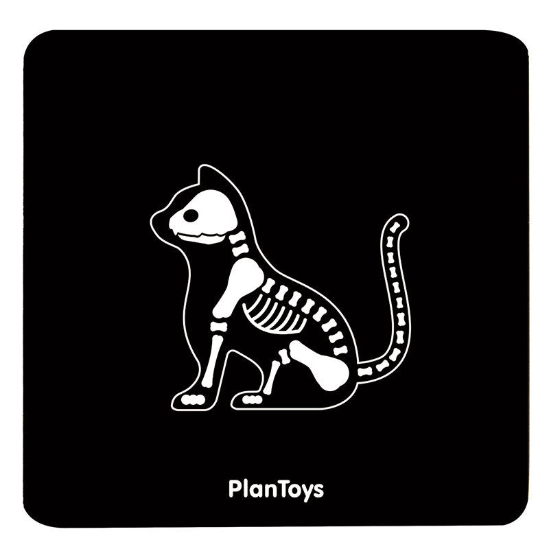 PlanToys Pretend Play - Vet Set