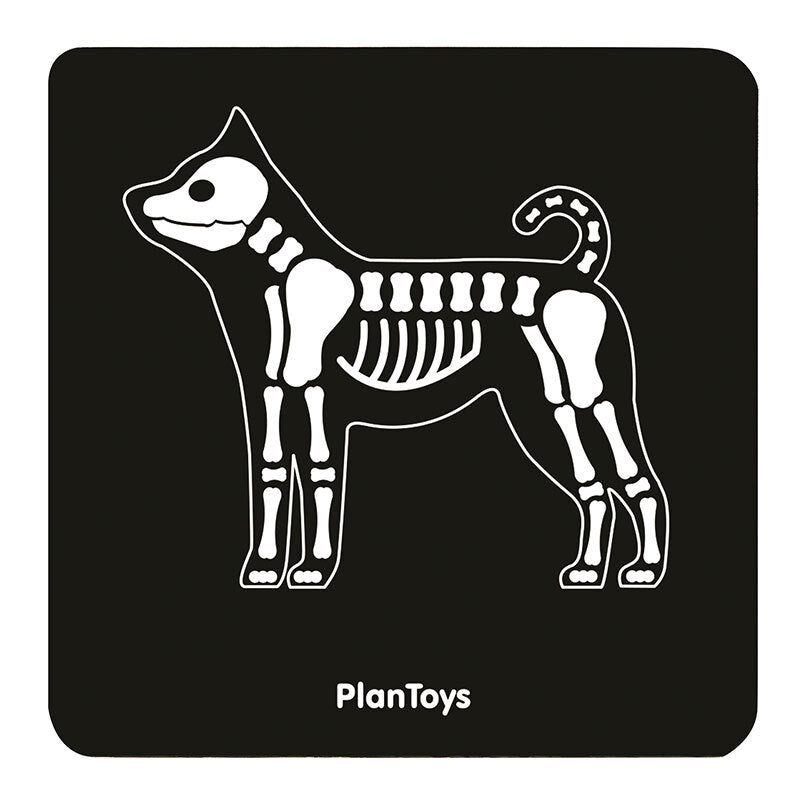 PlanToys Pretend Play - Vet Set
