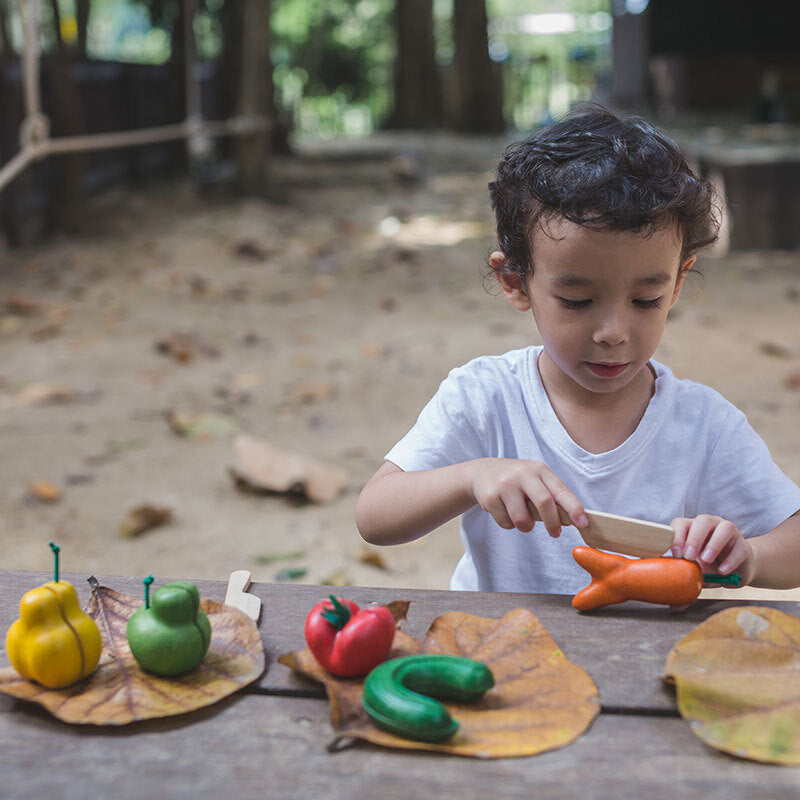 PlanToys Pretend Play - Wonky Fruit & Vegetables