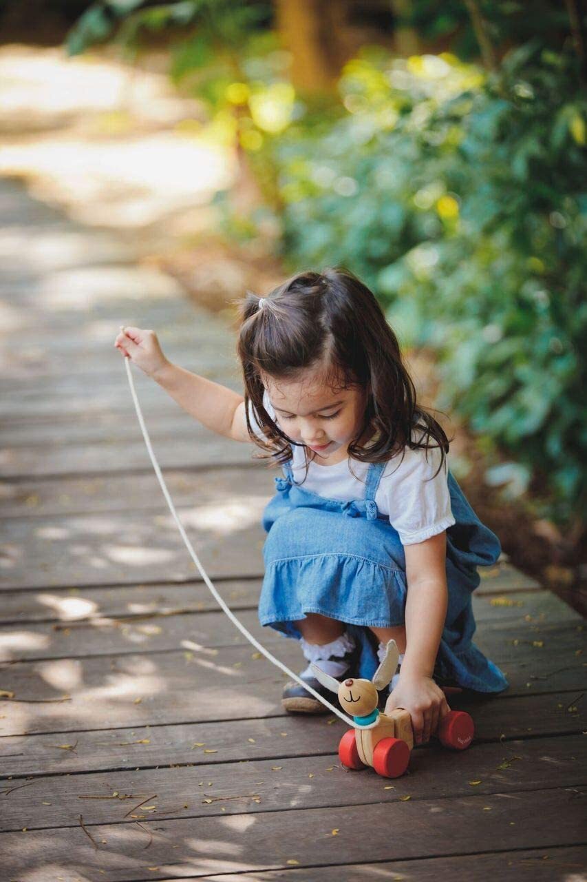 PlanToys Push & Pull - Happy Puppy