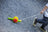 PlanToys Push & Pull - Pull-Along Snail