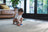 PlanToys Learning & Education - Shape Matching Puzzle