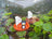 PlanToys Water Play - Sailing Boat - Penguin
