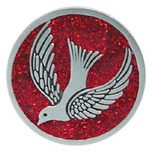 Companion Coin - Confirmed in Christ