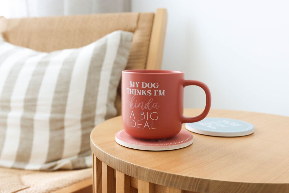 Splosh Pet Lovers - My Dog Thinks I'm Kinda A Big Deal Mug