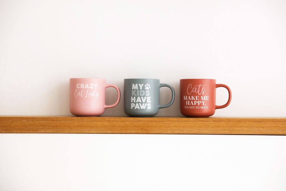 Splosh Pet Lovers - Crazy Cat Lady Mug