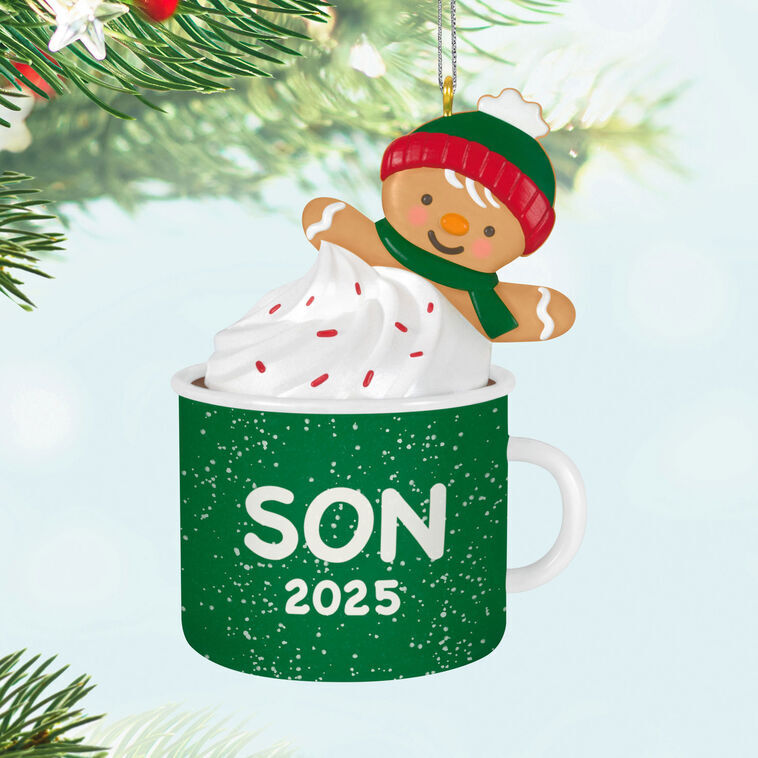 2025 Hallmark Keepsake Ornament - Son