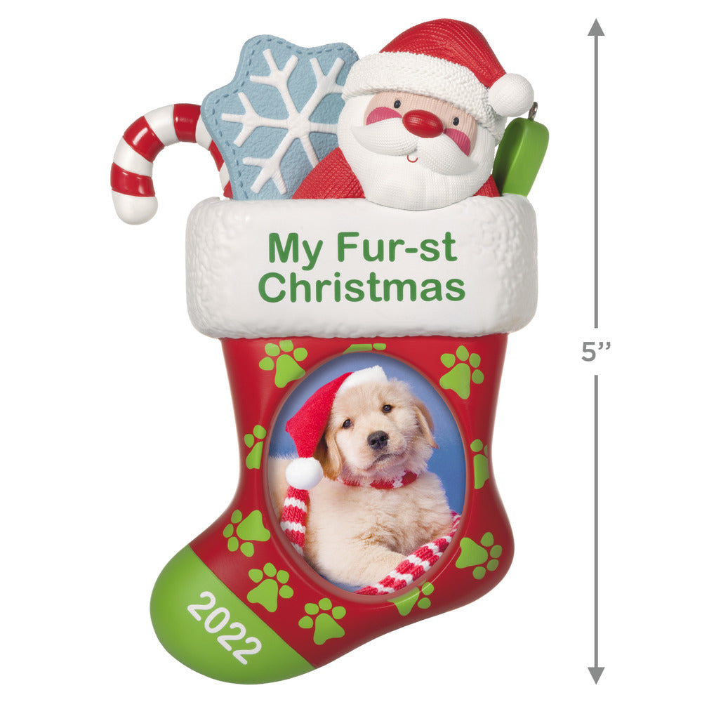 2022 Hallmark Keepsake Ornament - Pet's Fur-st Christmas Stocking Photo Frame