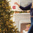 2025 Hallmark Keepsake Ornament - A Perfect Match